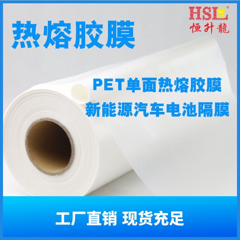 河源pet熱熔膠膜